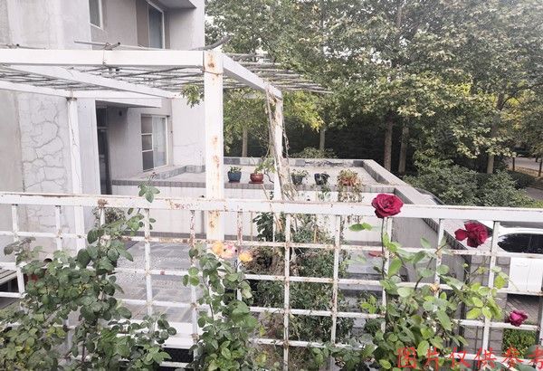 朝阳区 SOHO现代城5-107