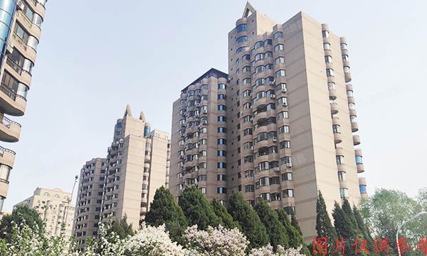 朝阳区 惠新西街18号D幢5层503a（罗马花园）