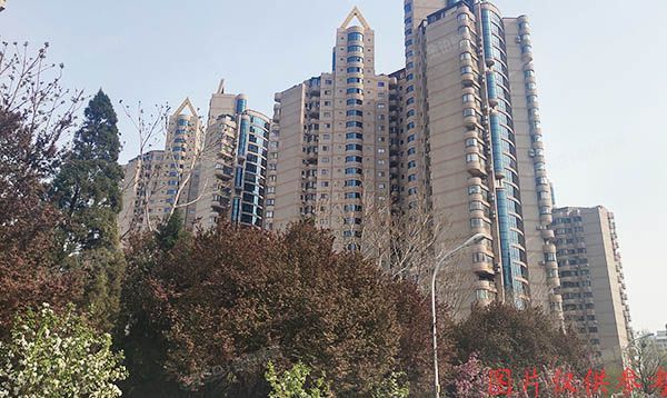 朝阳区 惠新西街18号D幢5层503a（罗马花园）