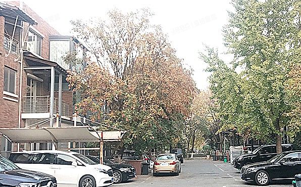 朝阳区 辛店路1号静风园12栋-1至3层12-10（亚运新新家园）别墅