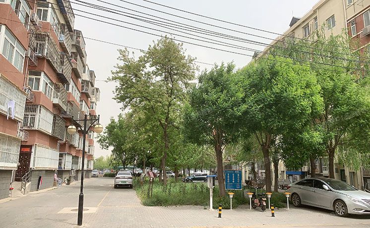 大兴区 团河苑东区3号楼4层1-403（团河苑小区）