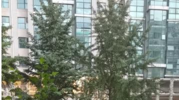 经济技术开发区 一品亦庄8号楼1单元602