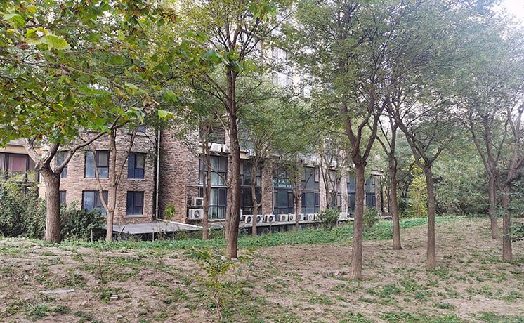 大兴区 兴泰街5号院10号楼1层106（首邑溪谷）