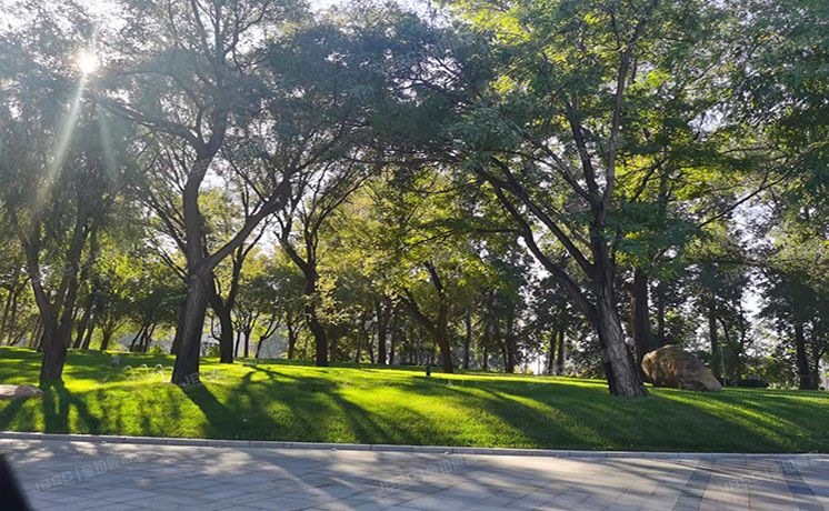 通州区 普欣南里137号楼-1至2层01号（泰禾中国院子）别墅