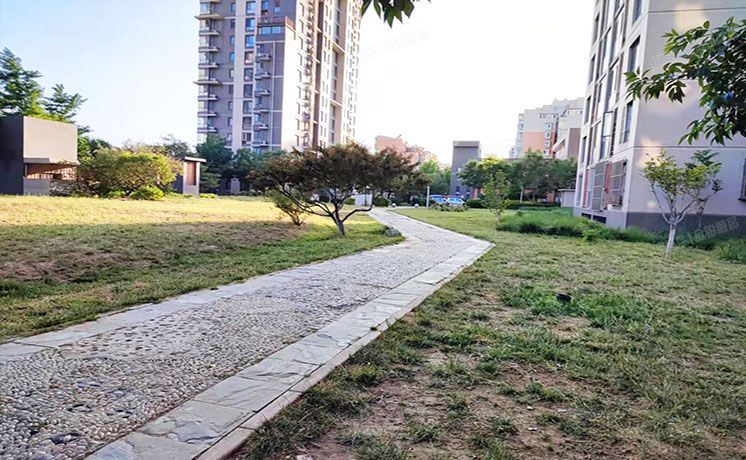 通州区 通胡大街1号5号楼12层265单元1206号（月季园）