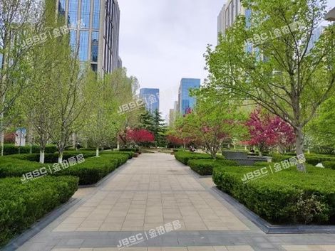 大兴区 北京经济技术开发区荣华北路2号院9号楼10层1001（林肯公园）