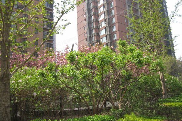 北京华侨城 法拍小区