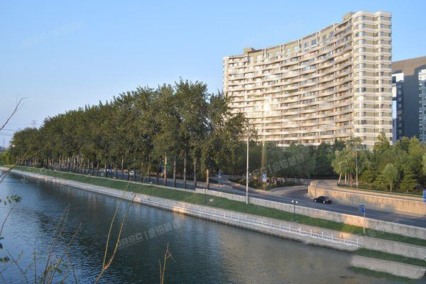 紫云轩十号名邸