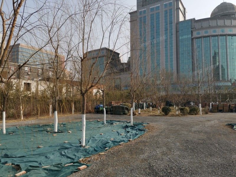 二期B座 法拍小区