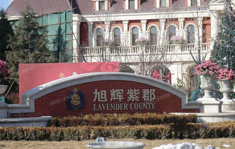 旭辉紫郡 法拍小区