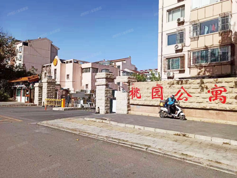 桃园公寓 法拍小区