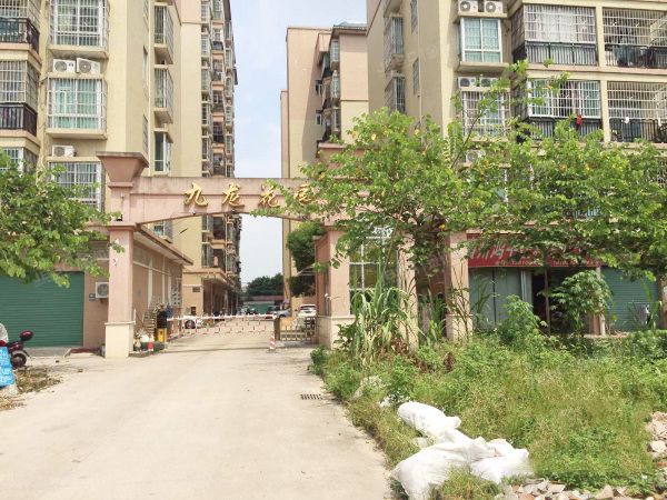 九龙花园 法拍小区