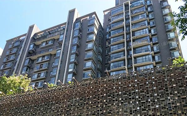 漪龙台 法拍小区