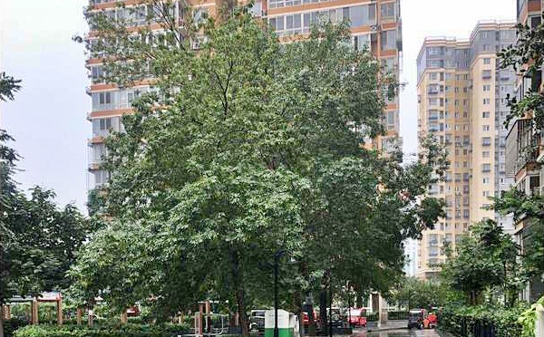 西革新里112号院