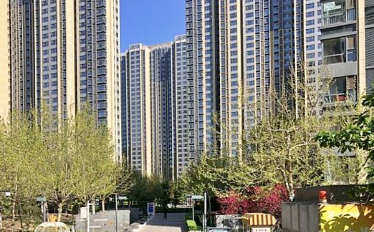 中建国际港