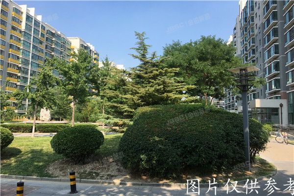 丰台区 角门北路11号院1号楼1306室