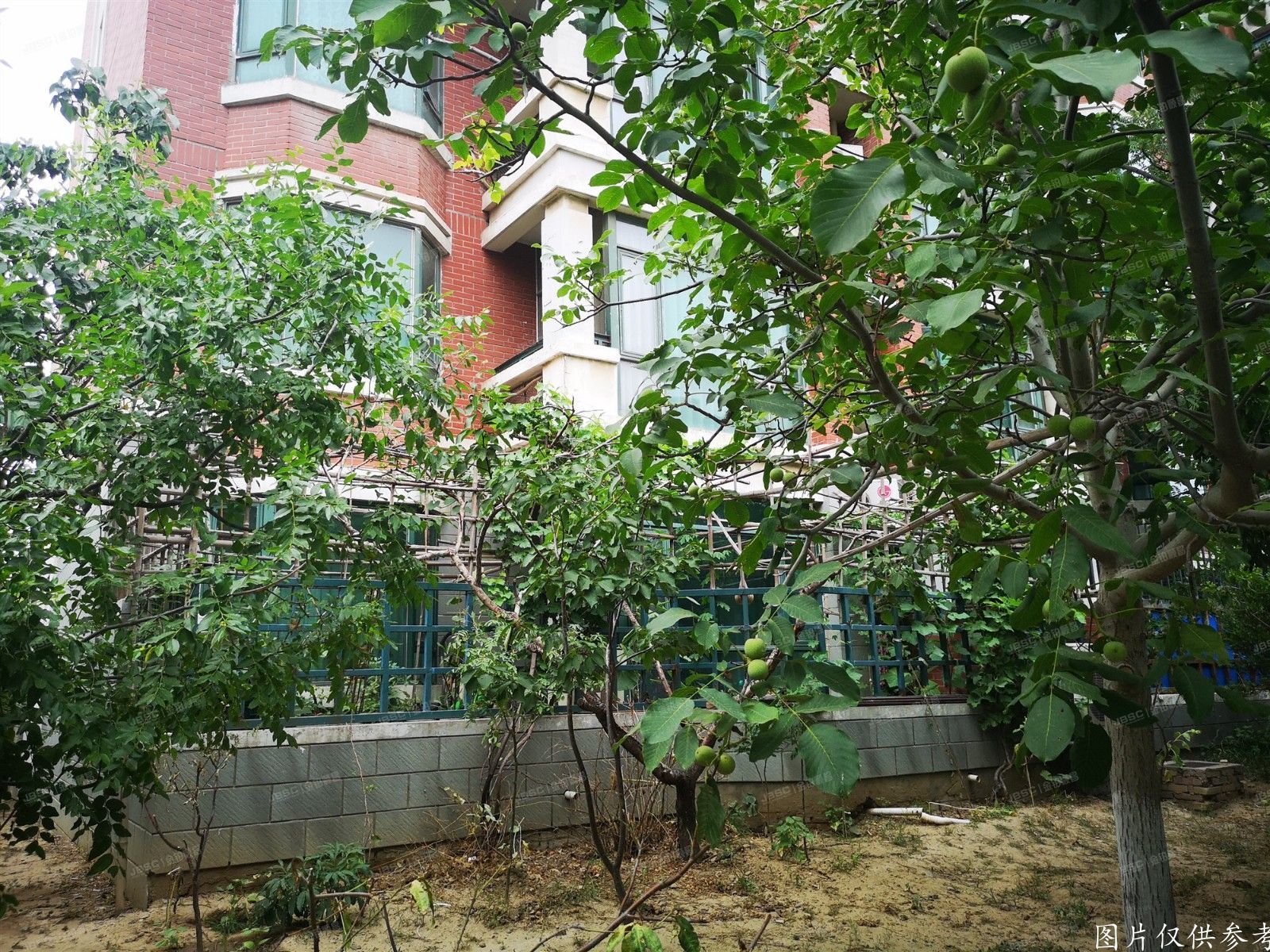 大兴区   莱茵河畔2号楼1层2单元102室