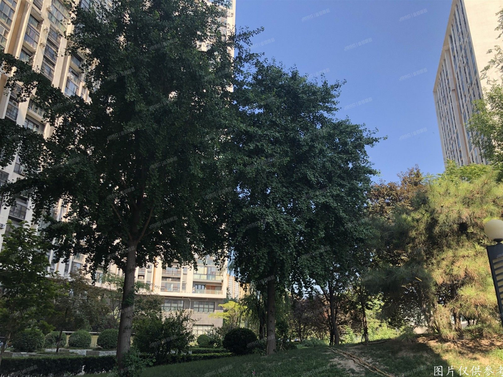 朝阳区  新坐标2号楼1层106  商业