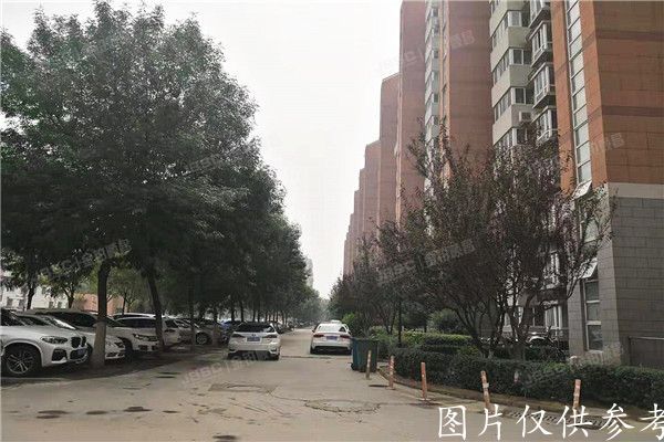 通州区  新城阳光33号楼1单元1131室