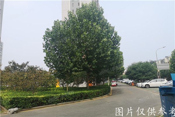 大兴区 晨合国海家园3号楼3单元1003号