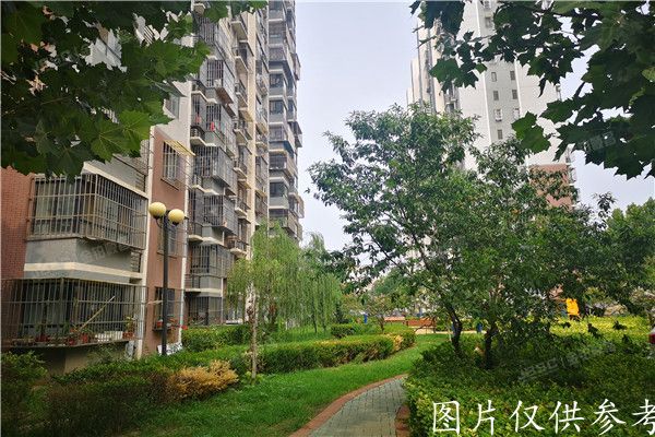 大兴区 晨合国海家园3号楼3单元1003号