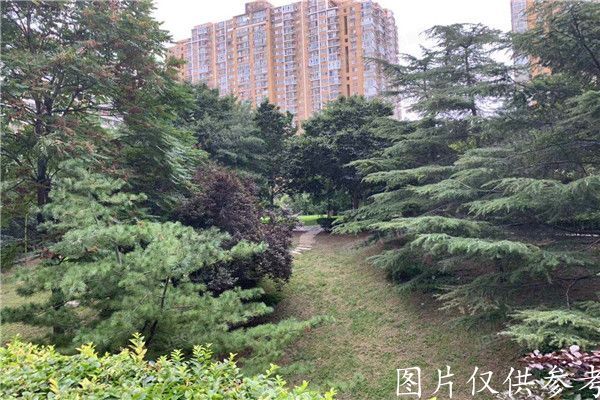 ※西城区 朗琴园2号楼501号