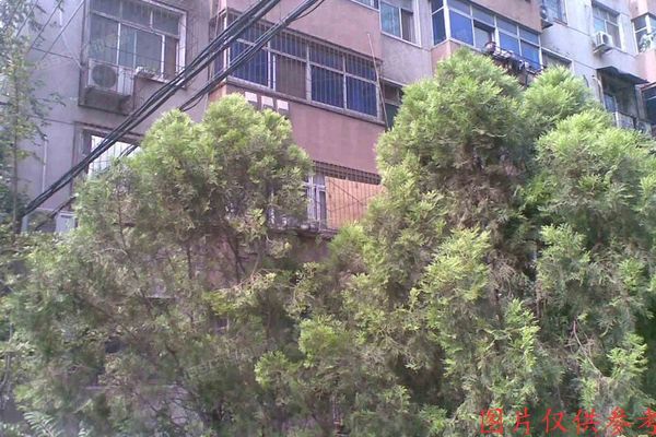 海淀区 大柳树13号院1号楼3单元312室