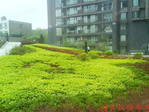 东城区 和平新城29号楼13层1208室