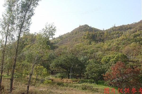 怀柔区   长城溪溪小镇11号楼3单元303室