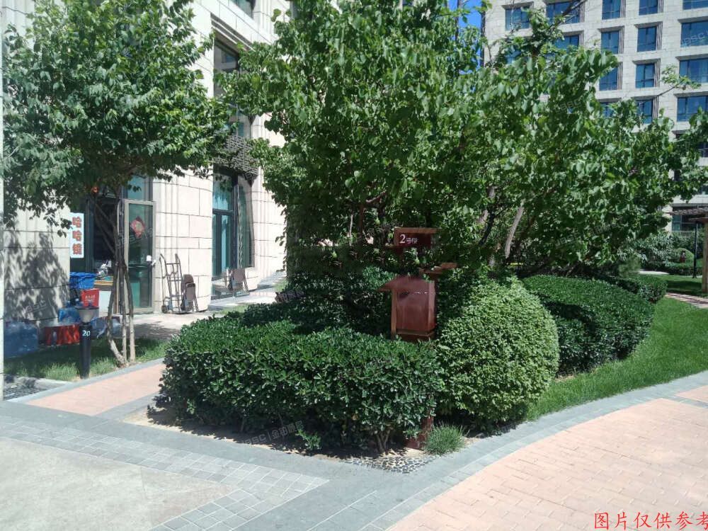 朝阳区 金茂府2号楼5层605室 办公