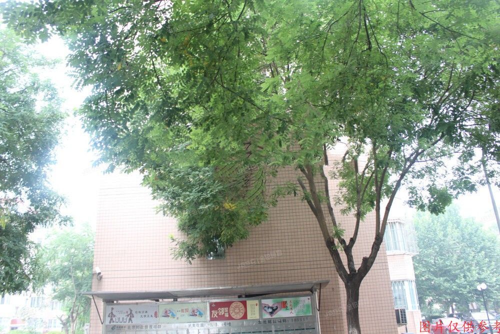 通州区 武夷花园水仙园4号楼15单元5B室