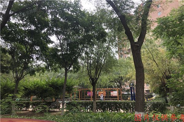 朝阳区   紫绶园13号楼10层1007室