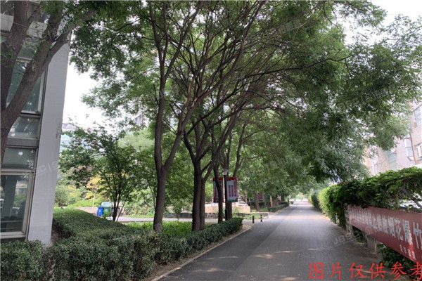 大兴区 天华园二里三区8号楼105（东晶国际公寓）