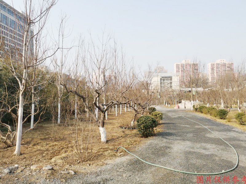 西城区阜成门外大街危改项目二期B座