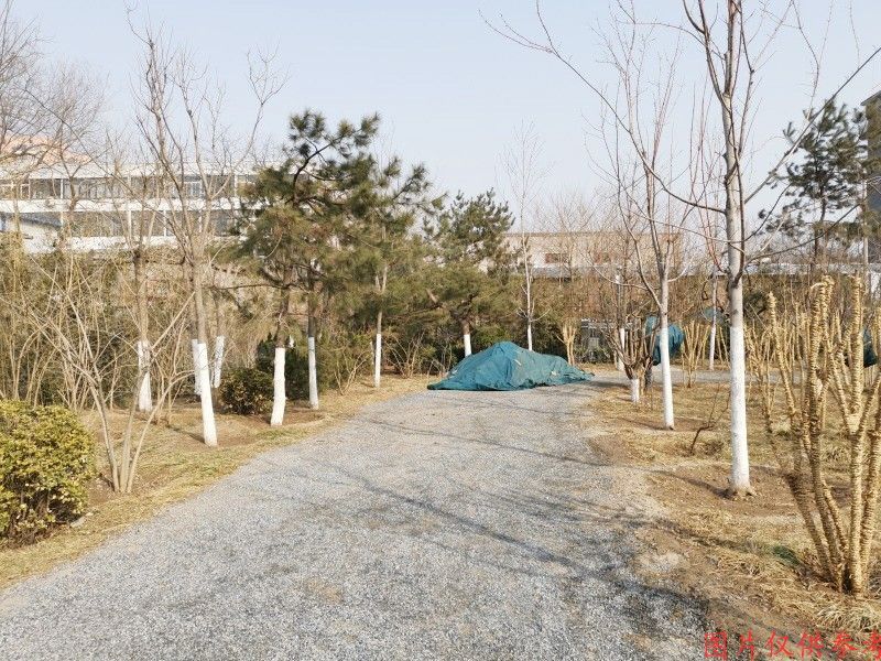 西城区阜成门外大街危改项目二期B座