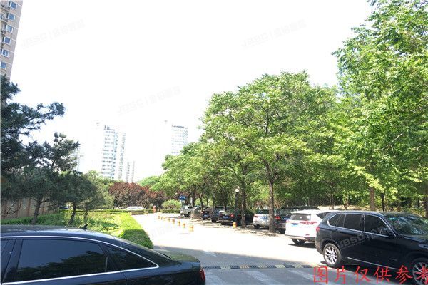 朝阳区 望京西园315号楼6层604号（绿荫芳邻）