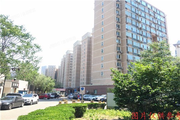 朝阳区 望京西园315号楼6层604号（绿荫芳邻）