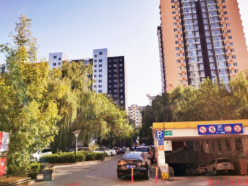 西城区 马连道东街甲2号院4号楼9层1004号（常青藤嘉园）