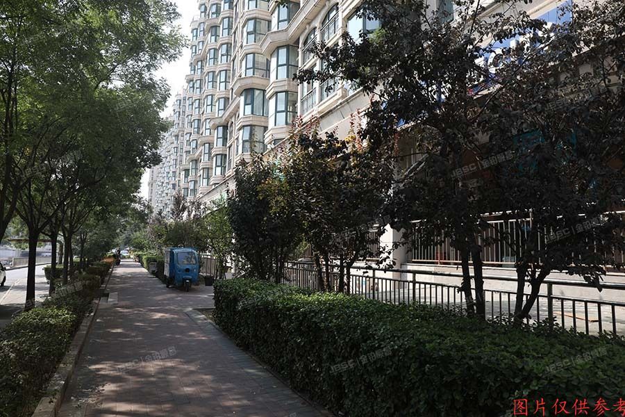 朝阳区 朝阳北路107号院34号楼101号（珠江罗马嘉园）