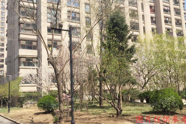 大兴区 永兴路5号院14号楼26层1单元2601号（龙湖时代天街）