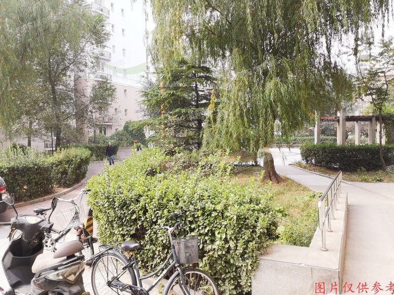 海淀区 海淀区博望园1号楼604