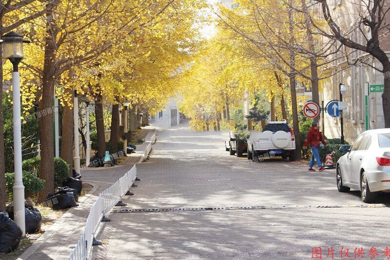 通州区 潞苑南里10号楼10层5单元1002（珠江国际）