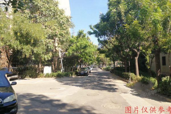 大兴区-西红门 九龙山庄小区15号楼（1至3）层 别墅