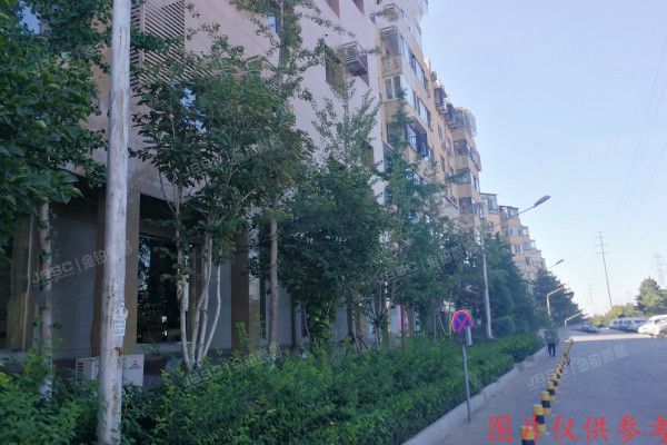 大兴区-西红门 九龙山庄小区15号楼（1至3）层 别墅