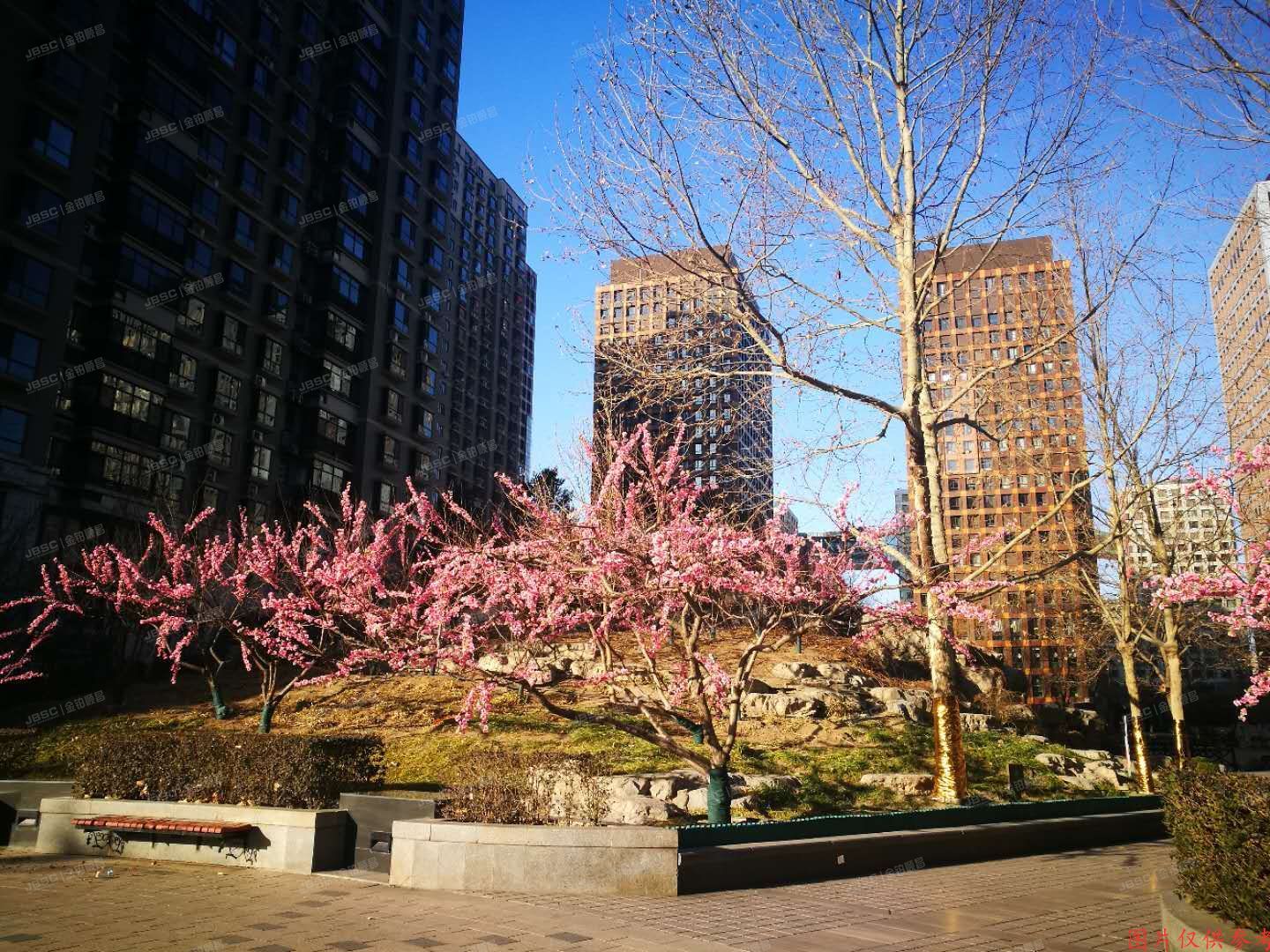 东城区香河园街1号院12号楼19层2203号（万国城MOMA）