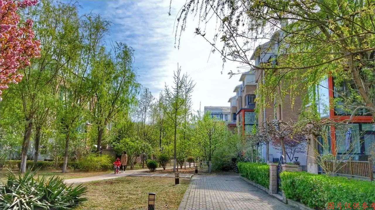 海淀区 四季青镇“西山美墅馆”D3#联排别墅6单元