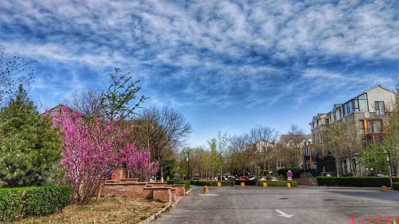 海淀区 四季青镇“西山美墅馆”D3#联排别墅6单元