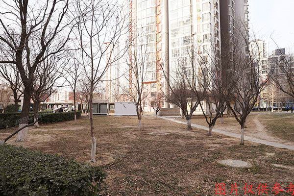 朝阳区 炫特嘉园11号楼5层A座502号