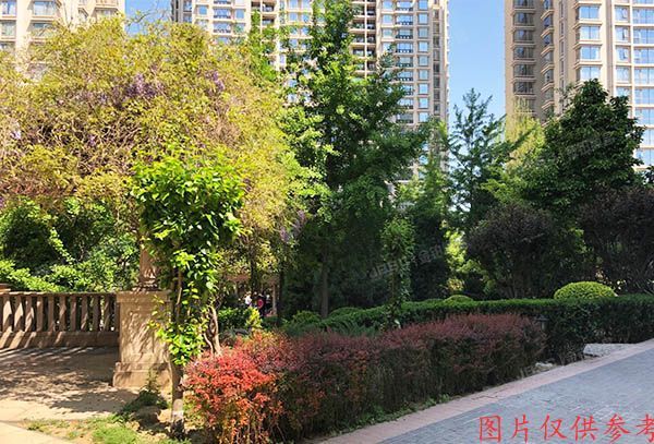 朝阳区 棕榈泉国际公寓8号院10号楼13层1607房