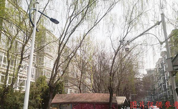 顺义区 馨港庄园三区30号楼三单元302